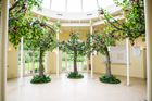 Trees
